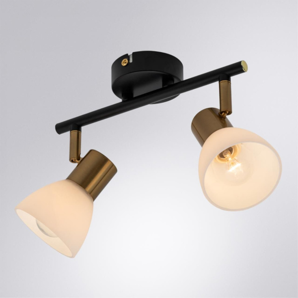 Споты с двумя плафонами arte lamp a3117pl-2bk фото в интернет магазине Супермаркет света